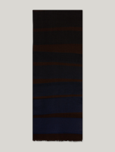 Image sur Foulard à rayures