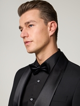 Bild von Fliege aus Seide