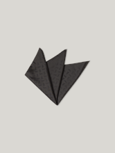 Image sur Pochette avec logo de tigre