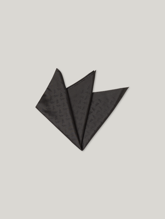 Image sur Pochette avec logo de tigre