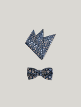 Image sur Ensemble noeud papillon & pochette