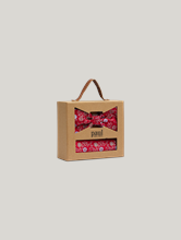 Image sur Ensemble noeud papillon & pochette