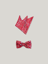 Image sur Ensemble noeud papillon & pochette