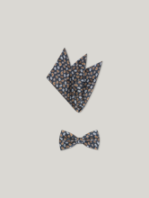 Image sur Noeud papillon & pochette en soie
