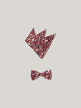 Image sur Noeud papillon & pochette en soie