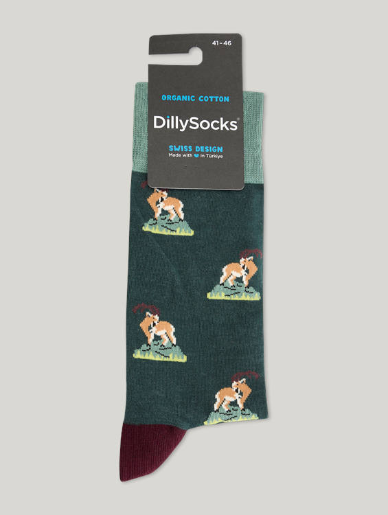 Image sur Chaussettes CAPRICORN