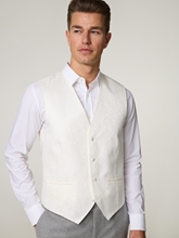 Image sur Gilet Regular Fit