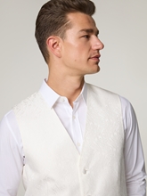 Image sur Gilet Regular Fit