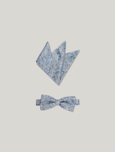 Image sur Noeud papillon & pochette