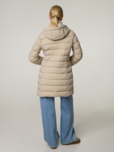 Bild von Steppmantel ARACHENA