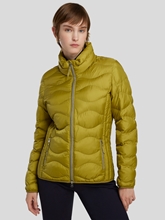 Bild von Steppjacke BERN