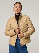 Bild von Steppjacke