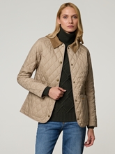Bild von Gesteppte Jacke ANNANDALE
