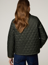 Bild von Steppjacke LIDDESDALE