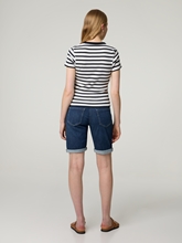 Bild von Bermudas SHORTY