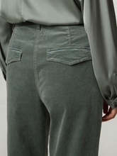 Bild von Hose aus Samt