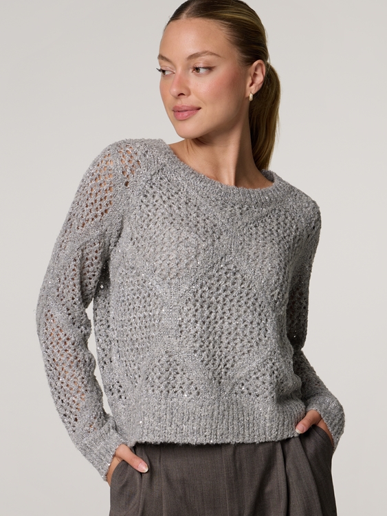 Image sur Pull en maille avec paillettes
