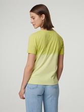 Bild von Shirt aus Baumwolle