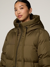 Bild von Steppmantel