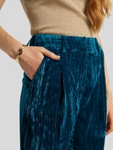 Bild von Hose aus Samt JAZZ