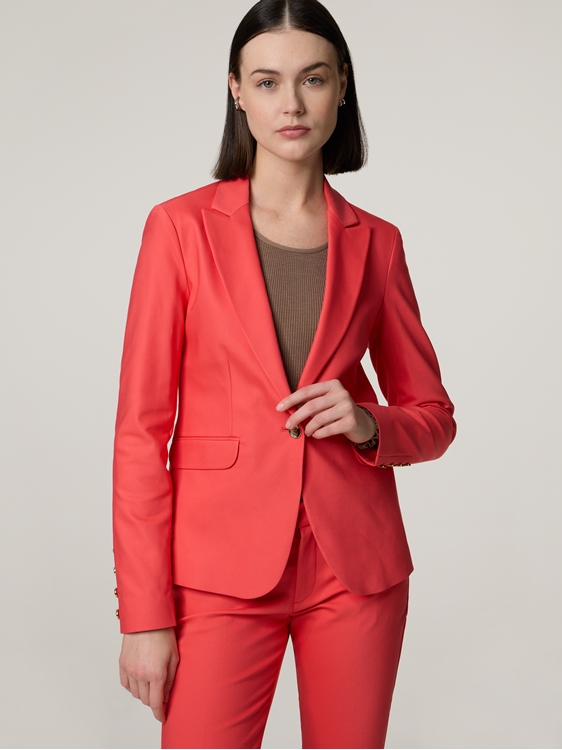 Image sur Basicblazer