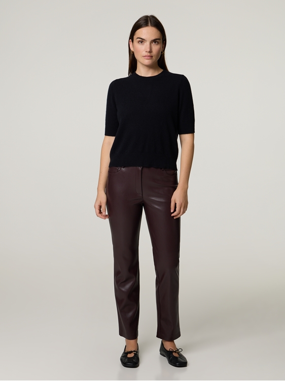 Bild von Fakelederhose