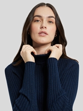 Bild von Rollkragenpullover RELENA