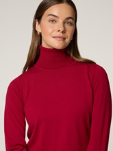 Bild von Rollkragenpullover IMPARI