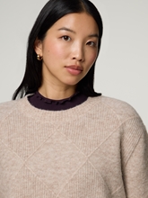 Bild von Pullover mit Alpaka