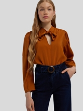 Bild von Schluppenbluse