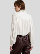 Bild von Schluppenbluse