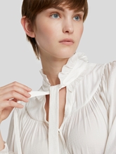 Bild von Schluppenbluse