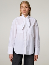 Bild von Schluppenbluse