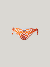 Image sur Slip de bikini