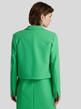 Image sur Blazer en chevron