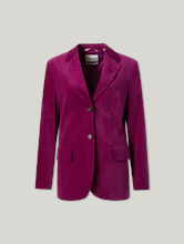 Bild von Blazer aus Samt