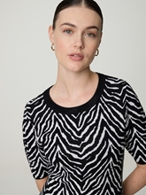 Bild von Minikleid mit Animal-Print