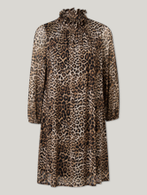 Bild von Minikleid mit Leo-Print