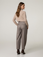 Bild von Bundfaltenhose CIOPTIS