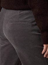 Bild von Hose aus Samt