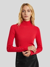 Image sur Pull à col roulé CINANNI