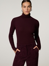 Image sur Pull à col roulé