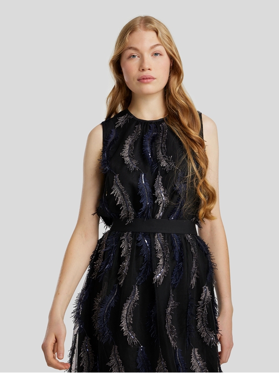 Image sur Top à plumes