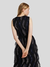 Image sur Top à plumes