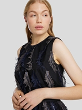 Image sur Top à plumes