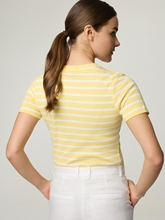 Image sur T-Shirt en coton