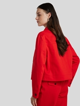 Bild von Leichte Jacke