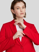 Bild von Blazer VISCHIO