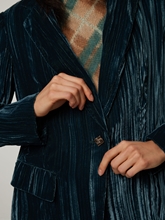 Bild von Blazer im Crash-Samt