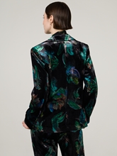 Bild von Blazer aus Samt